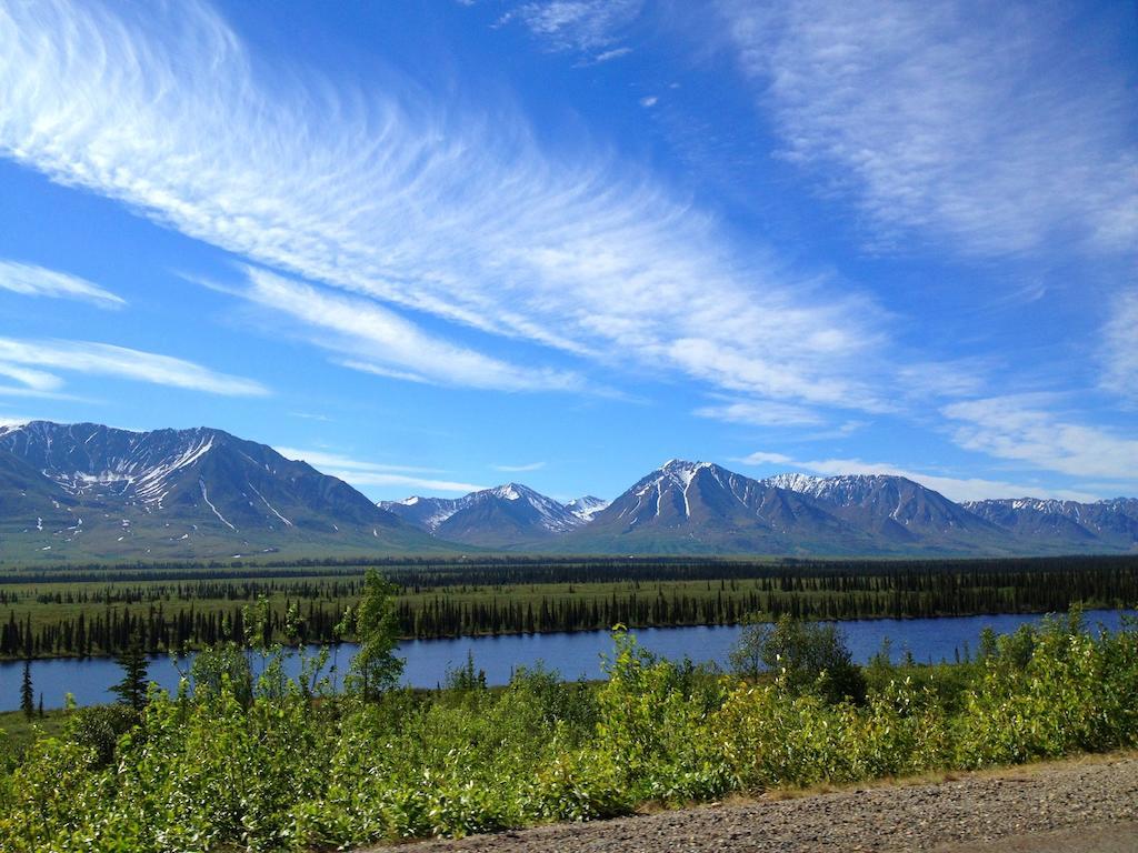 Denali Cabins Denali Park 외부 사진