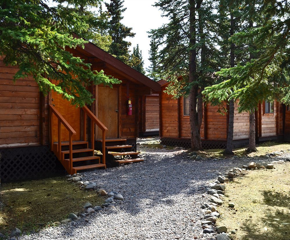 Denali Cabins Denali Park 외부 사진
